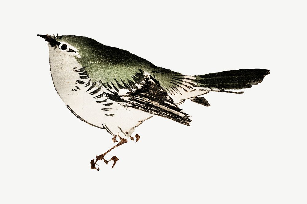 Tit bird illustration collage element, vintage animal psd. Remixed by rawpixel.