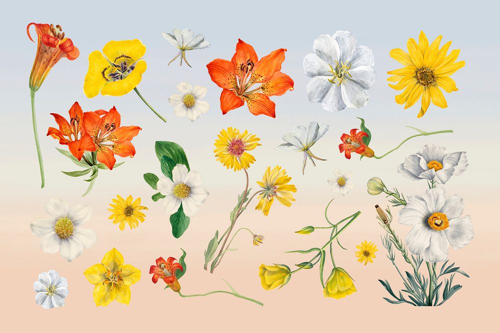 Spring watercolor flower clipart psd set