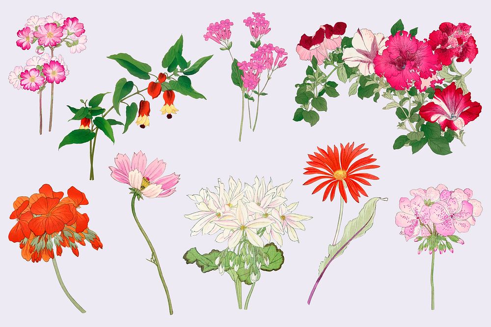 Flowers  collage element set psd. Remixed by rawpixel.