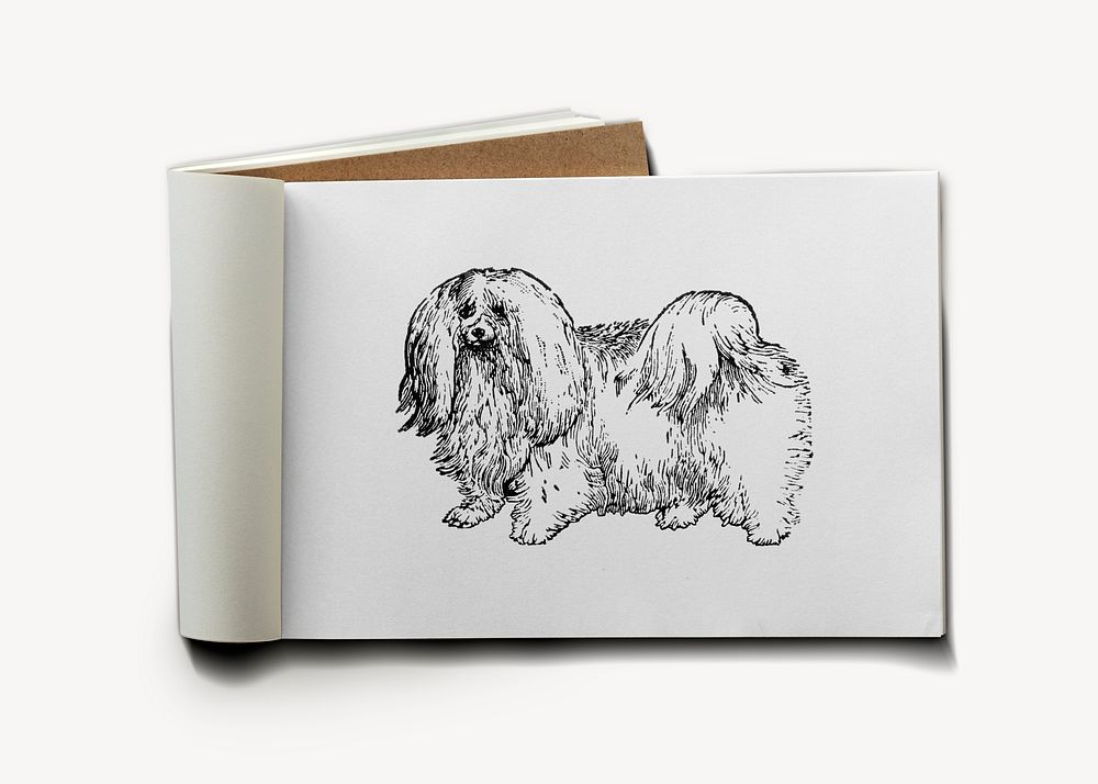 Sketched dog on drawing book