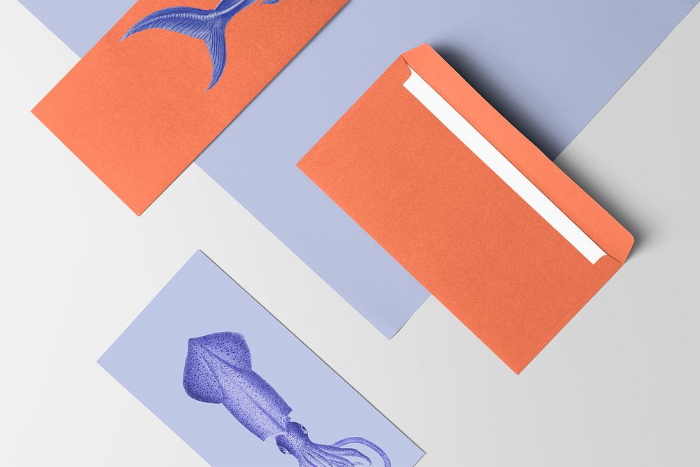 Envelope with vintage squid illustration