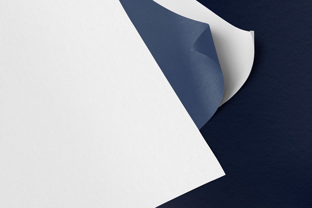 Blank white poster paper with design space