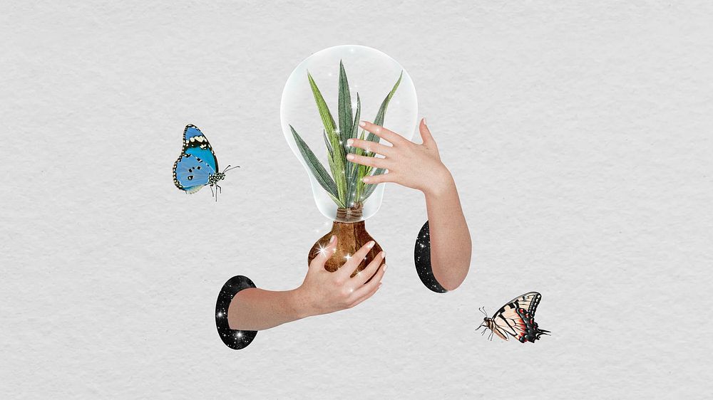 Nature conservation aesthetic desktop wallpaper, hands covering plant
