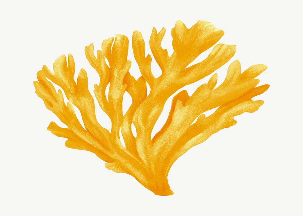 Yellow coral, nature illustration collage element psd