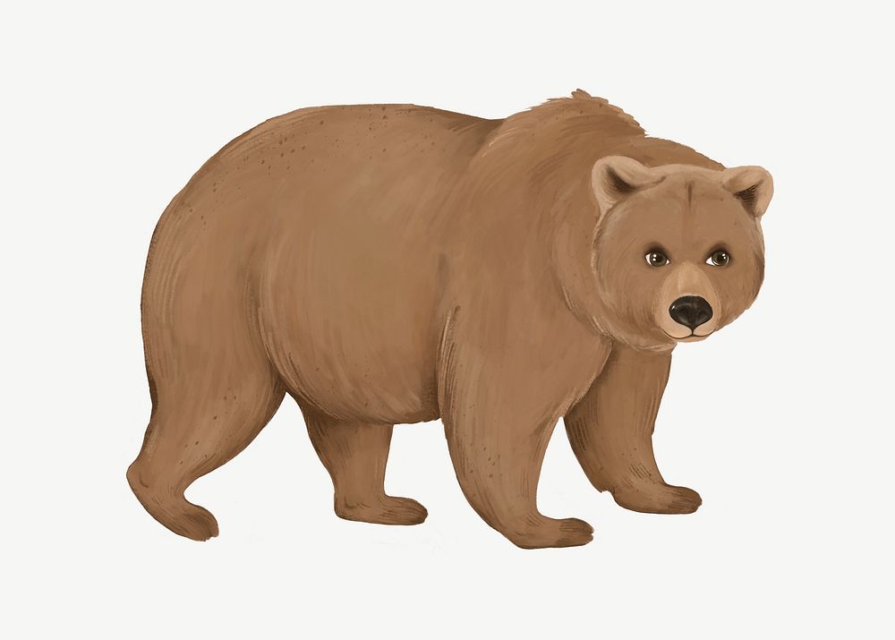 Brown bear, animal illustration, collage element psd