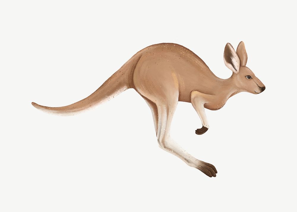 Running kangaroo , animal illustration, collage element psd