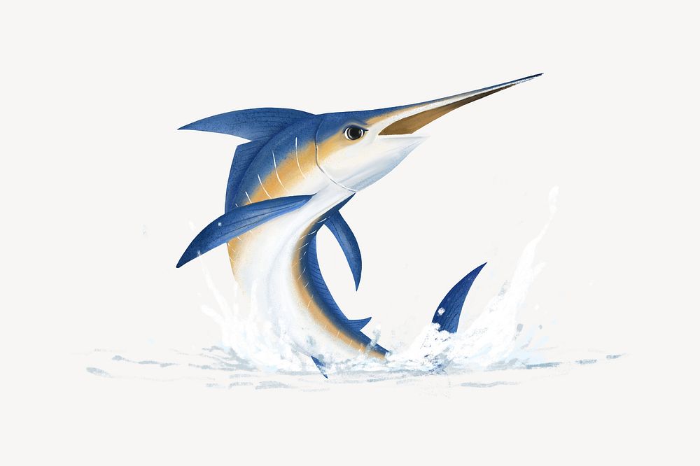 Jumping marlin fish, cute hand drawn illustration
