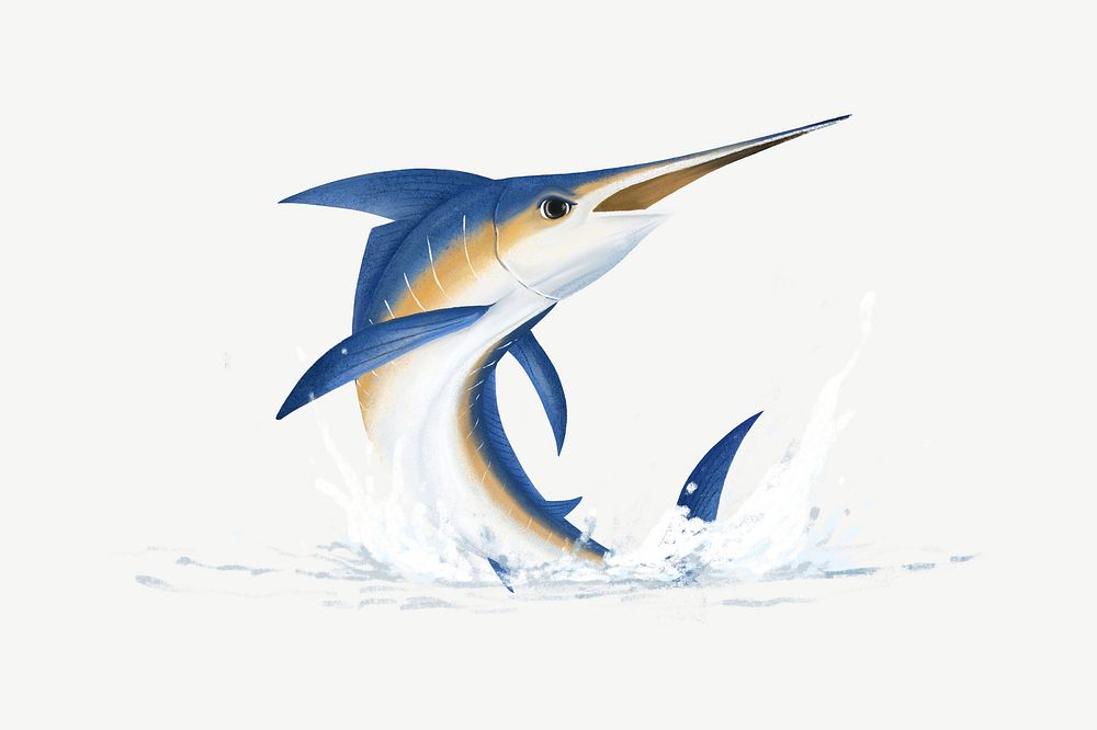 Jumping marlin fish, animal illustration, collage element psd