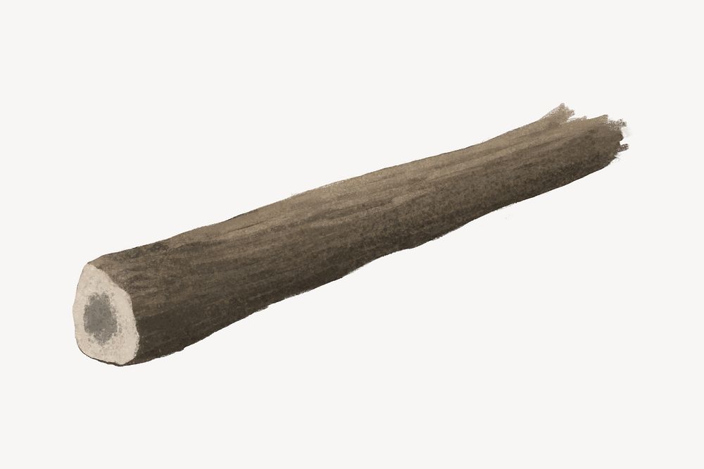 Wooden log illustration, white background