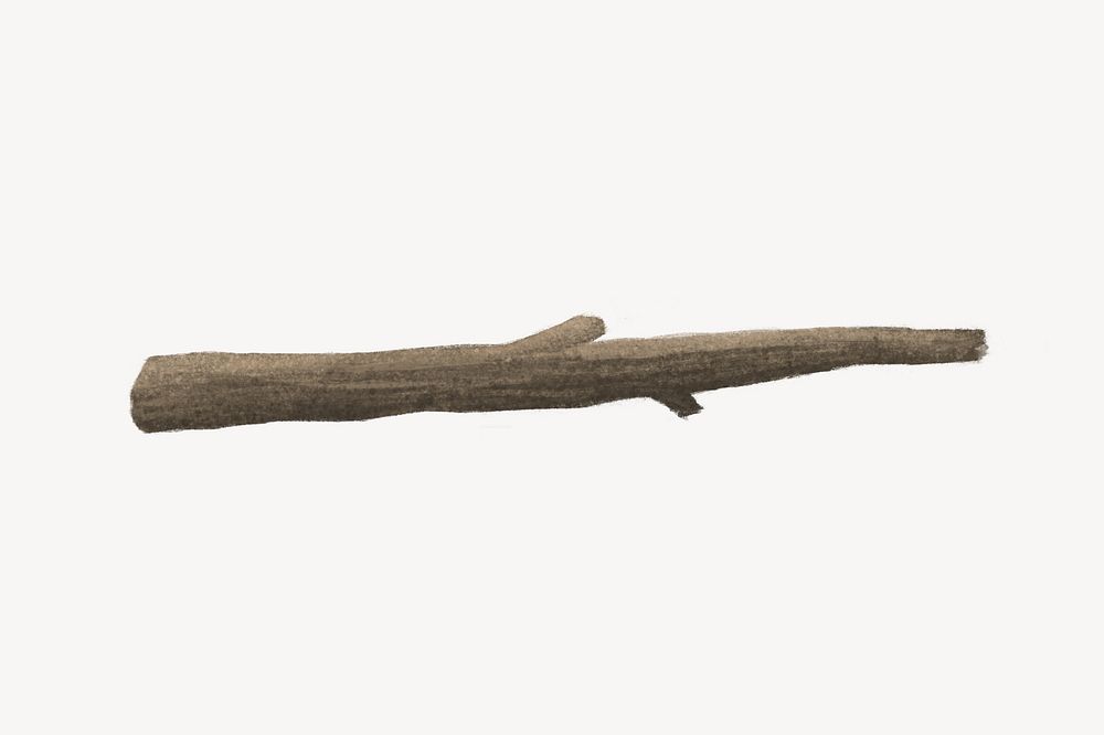 Wooden branch illustration, white background