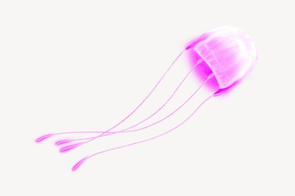 Neon pink jellyfish animal illustration, white background
