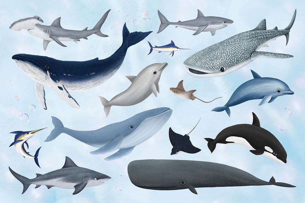 Large sea life animals illustration set, collage element psd