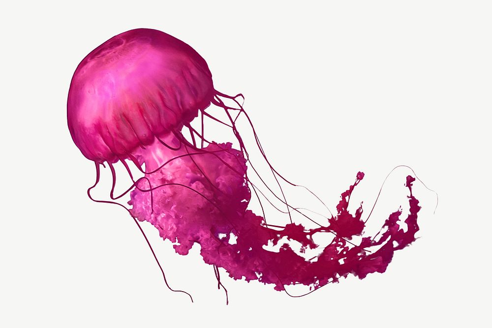 Pink jellyfish collage element psd
