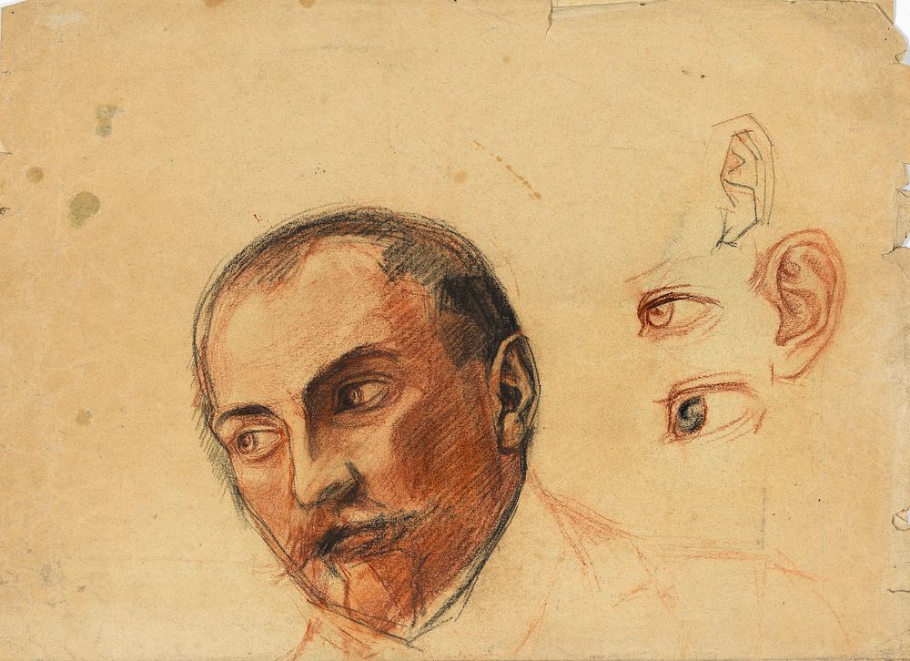 Study Sheet (Head, Eyes, Ears) by Egon Schiele