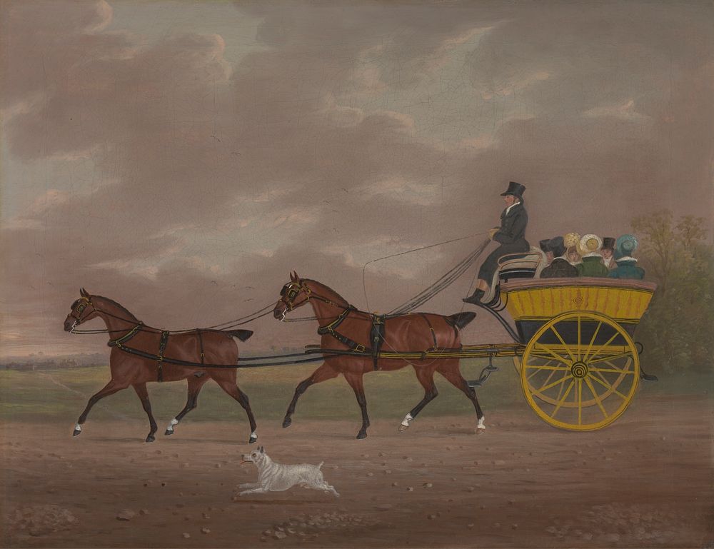 A Gentleman Driving Tandem to a Jaunting Car