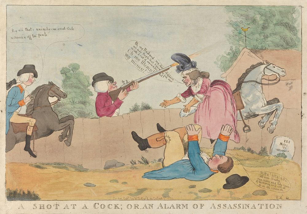 A Shot at a Cock; or, An Alarm of Assassination