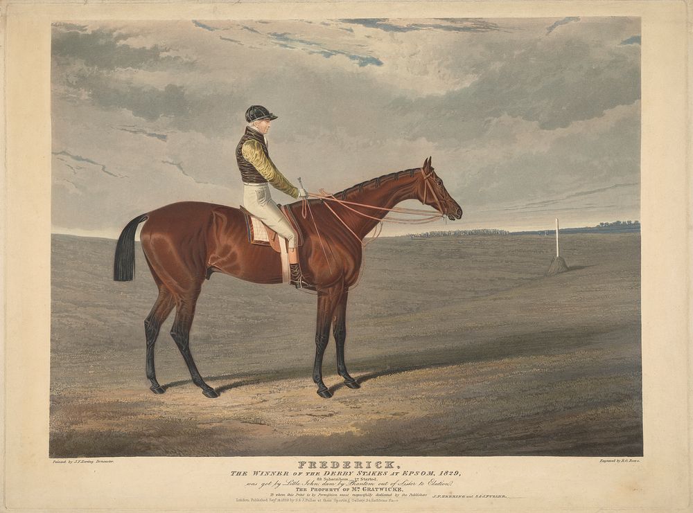 Racing:  "Frederick", the Winner of the Derby Stakes at Epsom, 1829