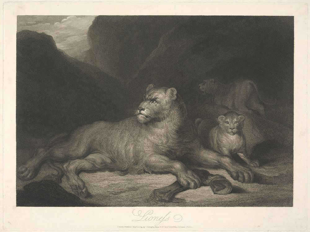 Animals [a pair]: 1. Lioness