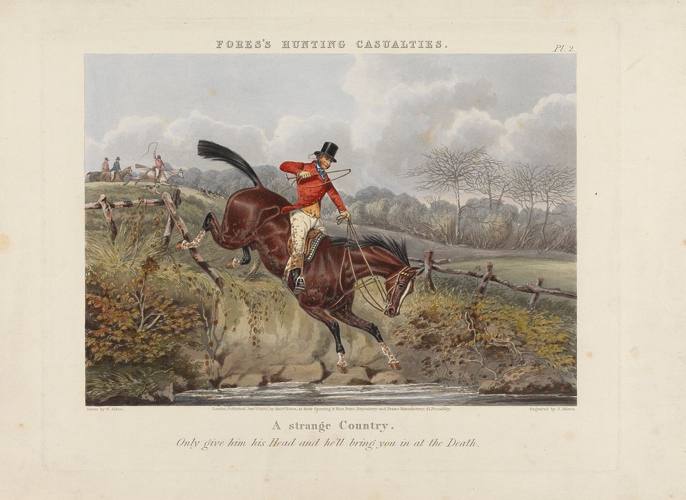 Fox Hunting: Fores's Hunting Casualties - A Strange country