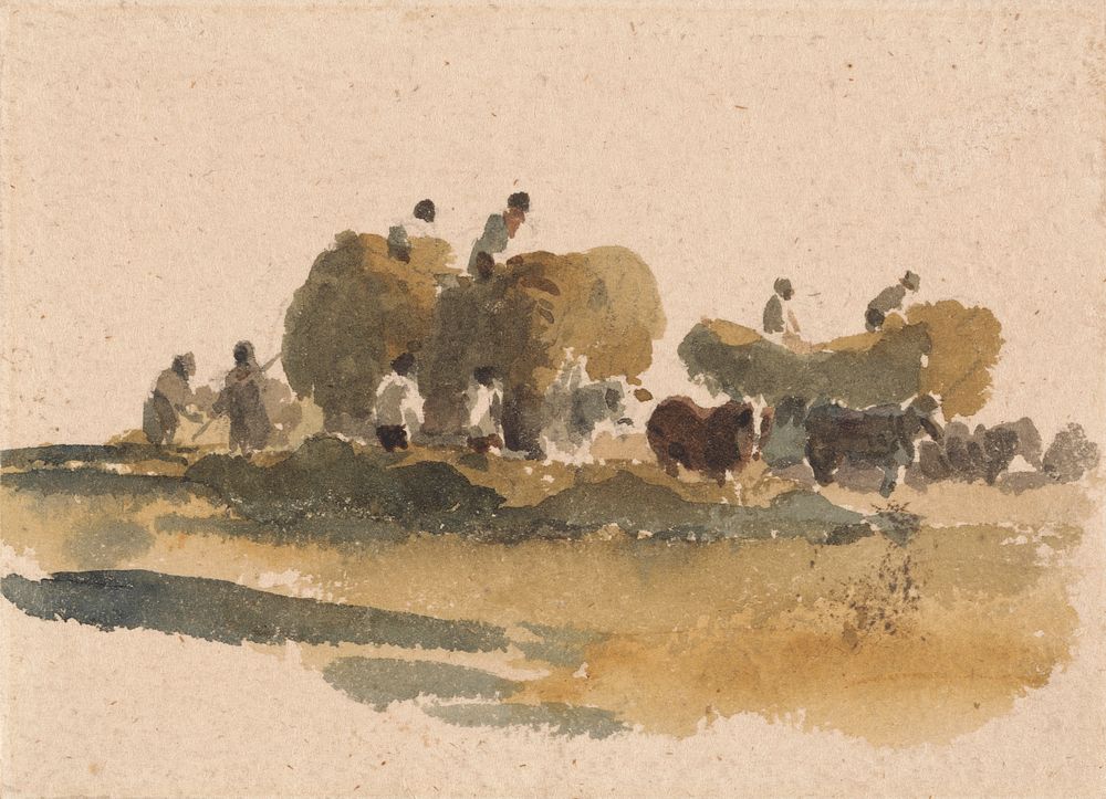 Hay Wagons