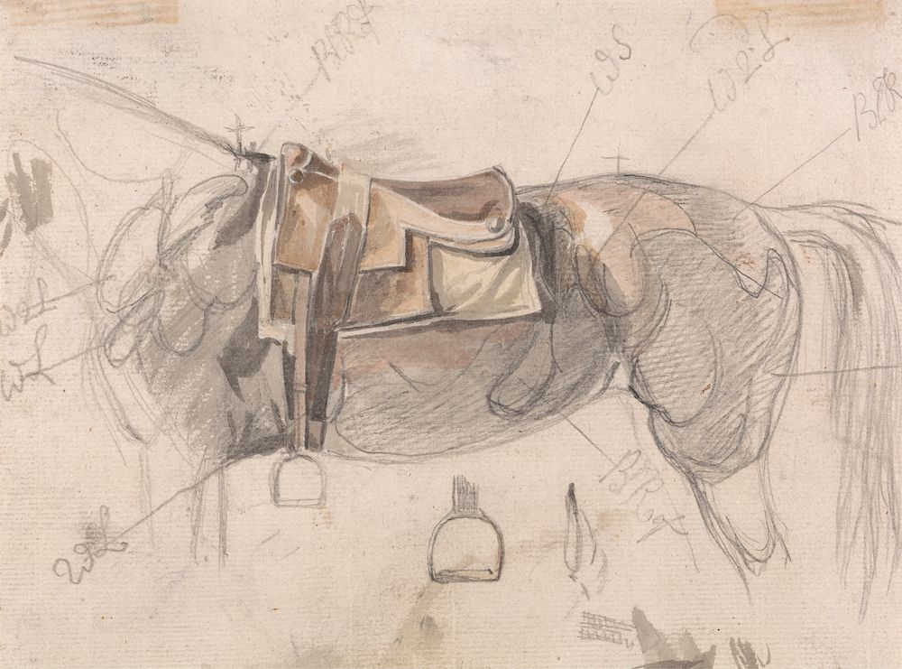 A Racing Saddle on a Horse's Back, With Details of Stirrup