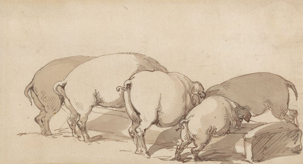 Pigs at a Trough