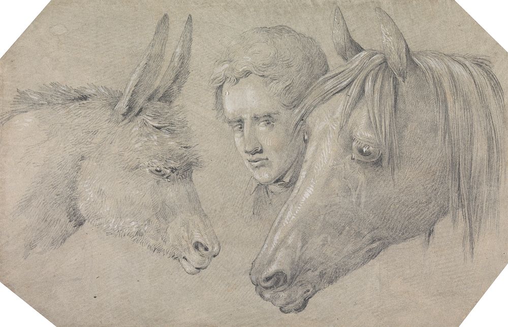 Head of a Stable Lad, Looking Between the Heads of a Horse, on His Left, and a Donkey, on His Right