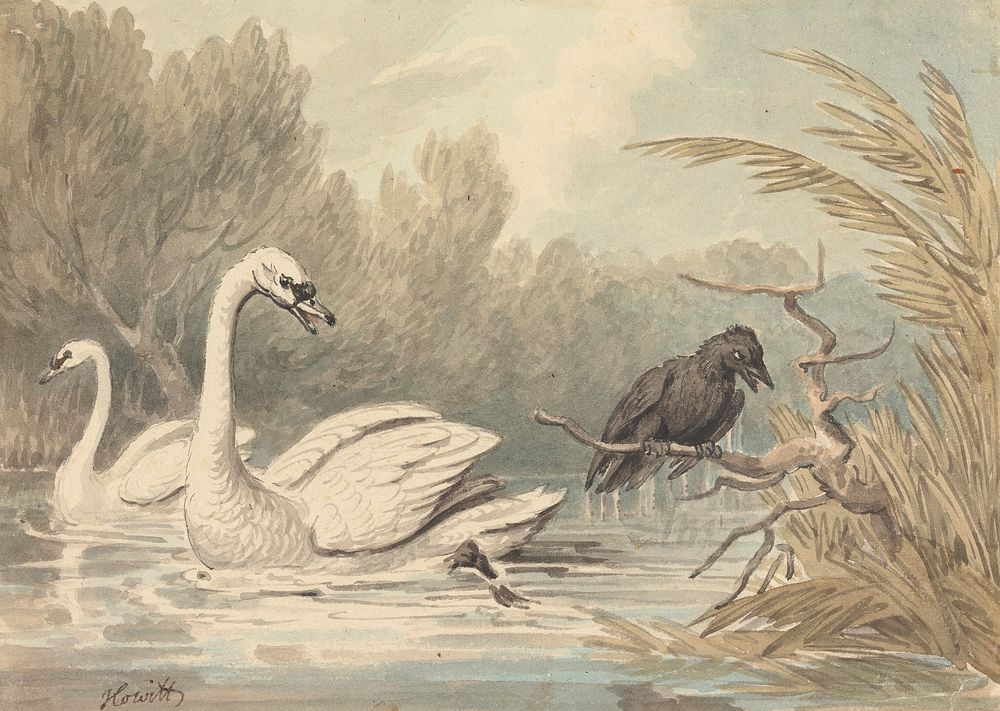 A Raven and Two Swans