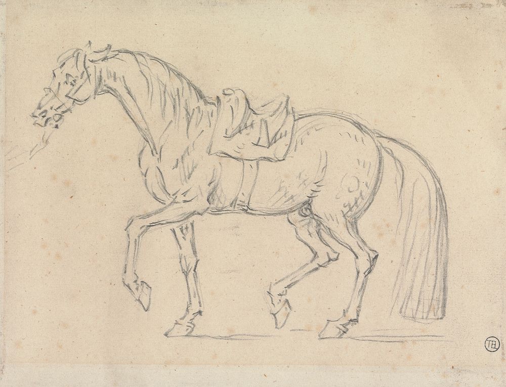 Saddled Horse, Walking to Left