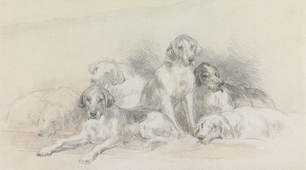 Six Foxhounds Resting