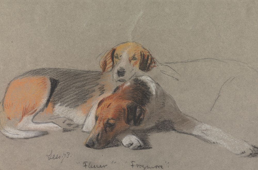 Hounds: "Fleur" and "Frogmore"