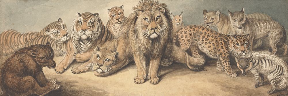 Animals of the Cat Family, with a Bear and Foxes