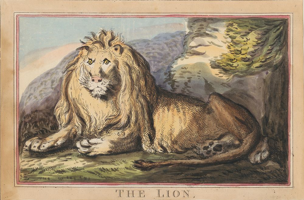 Set of eight with title-page. 'Foreign and Domestick Animals.' 3. The Lioness