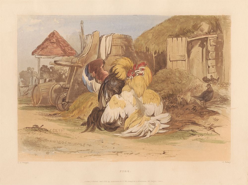 Rural Chivalry; A Series in six plates of Fighting Cocks:  4. Fire