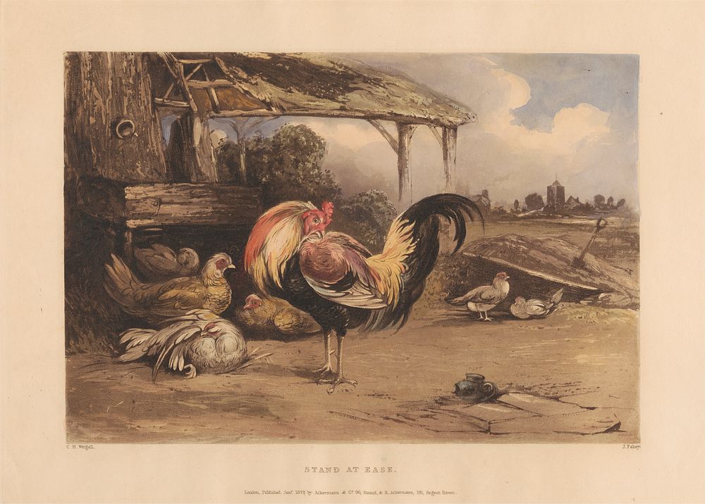 Rural Chivalry; A Series in six plates of Fighting Cocks:  5. Victory