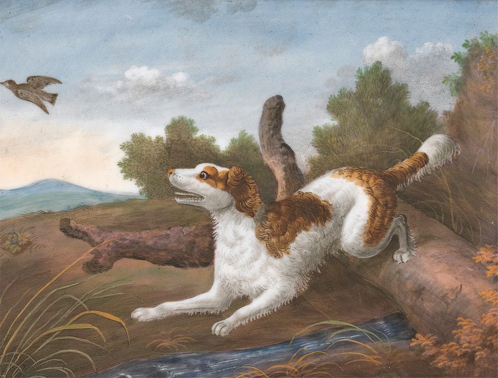 Springer: A Spaniel Bounding Over a Log to Spring a Snipe on the Left