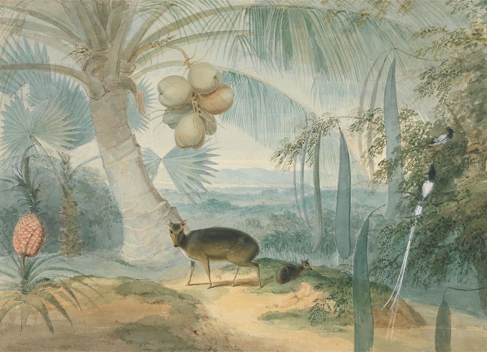 A Landscape in Ceylon, With Barking Deer and Fawn and a Pair of Paradise Fly-Catchers