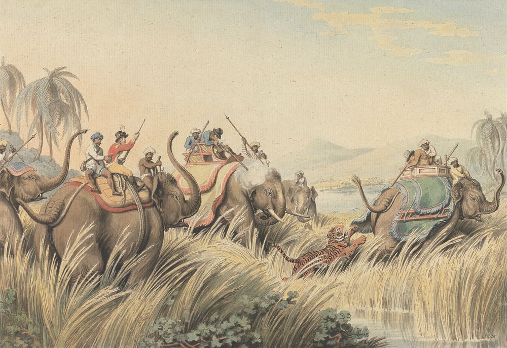 The Tiger at Bay: an illustration for Captain Thomas Williamson's "Oriental Field Sports"