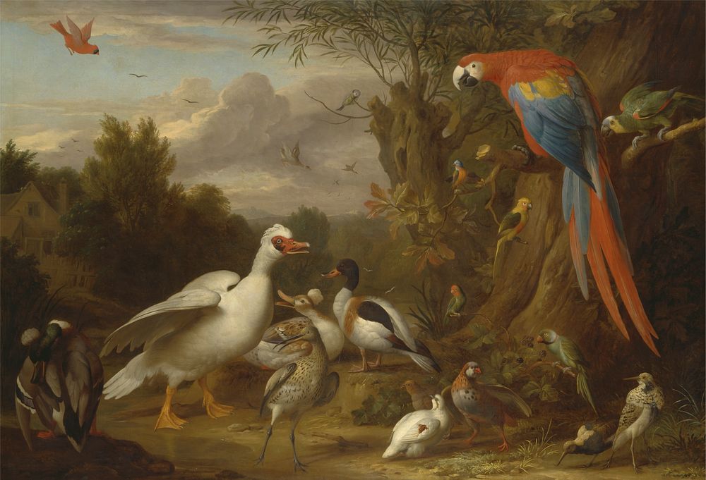 A Macaw, Ducks, Parrots and Other Birds in a Landscape