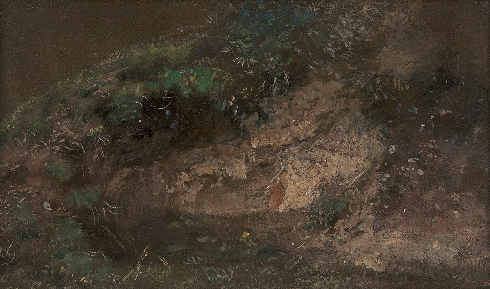 Undergrowth by John Constable