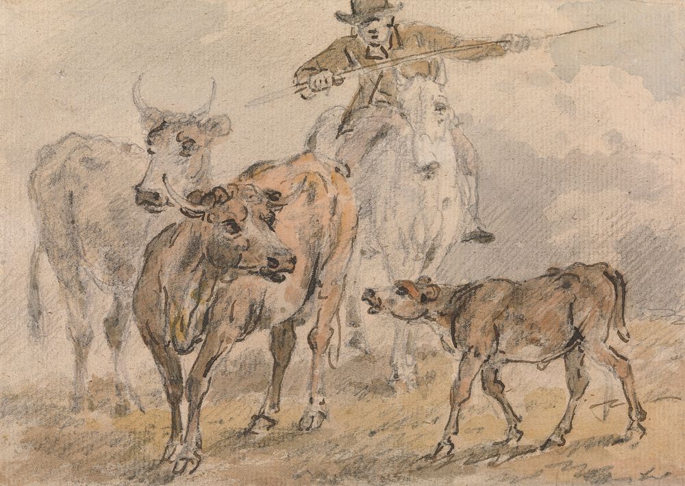 Man on a horse hearding two cows and a calf