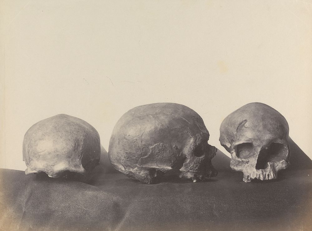 Three Skulls, Found in a Cave at Cro-Magnon, near Les Eyzies, Dordogne, France (from Casts)