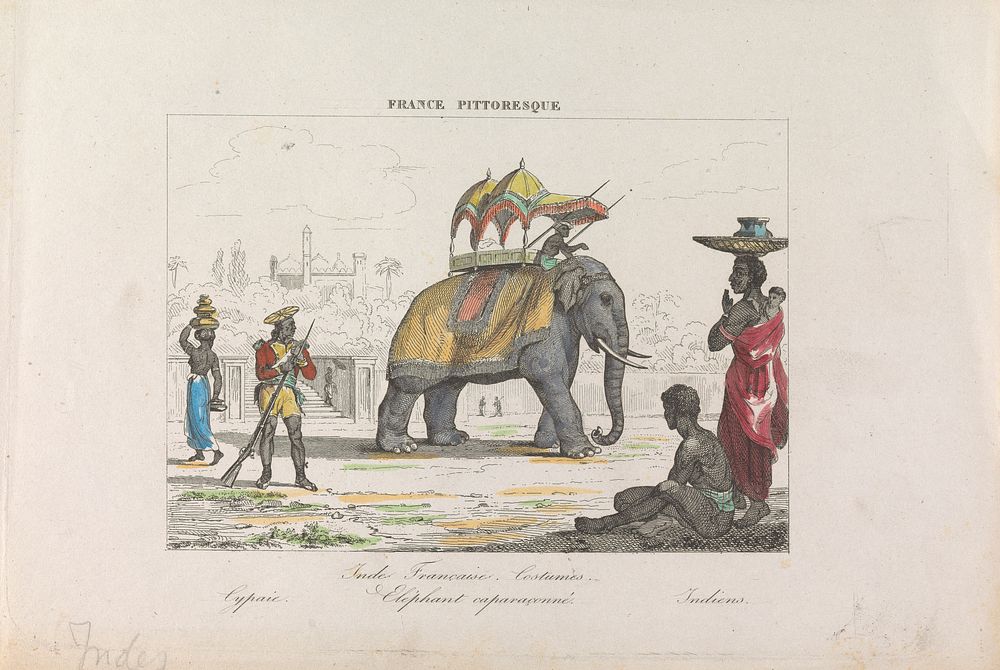 Inde Francaise, Costumes, Elephant Caparaconne