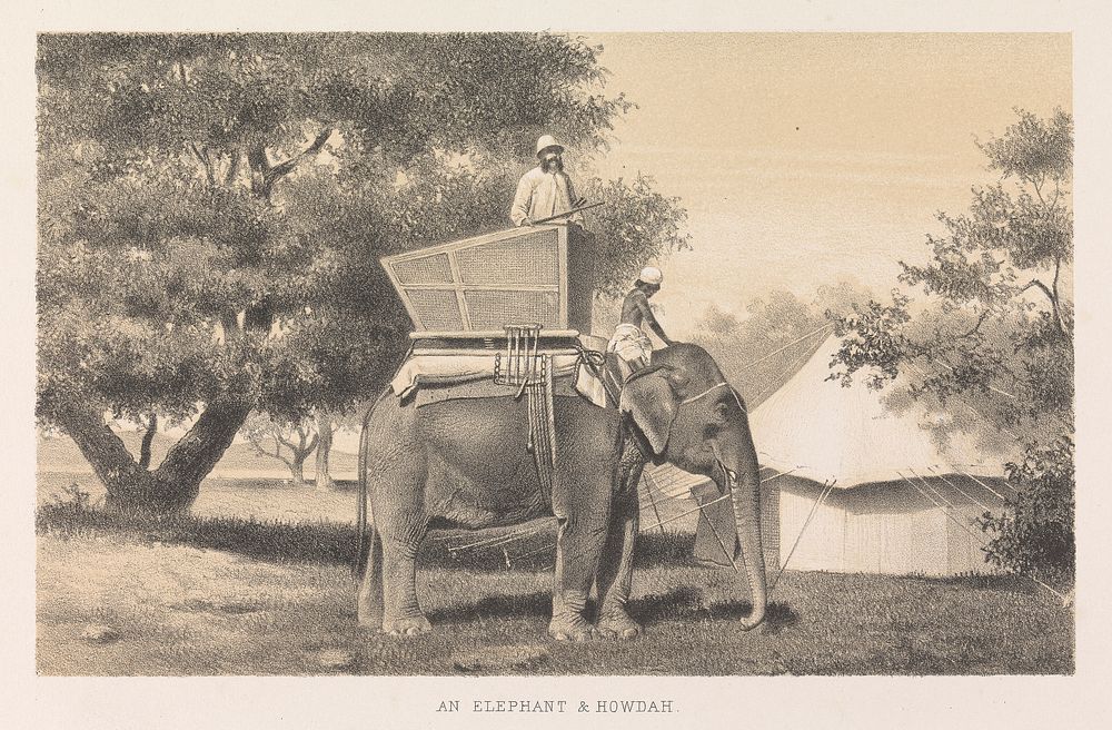 An Elephant and Howdah