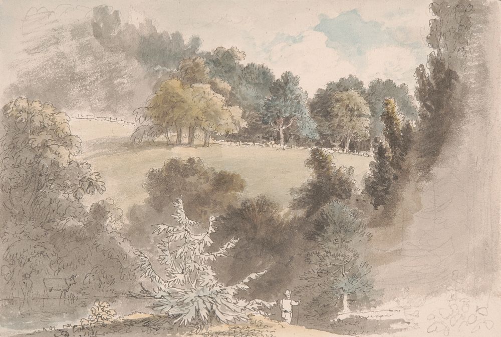 Landscape with trees