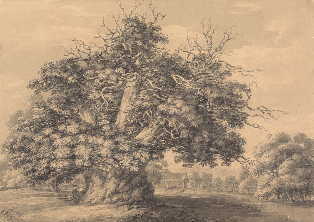The Chestnut Tree at Little Wymondley, Hertfordshire