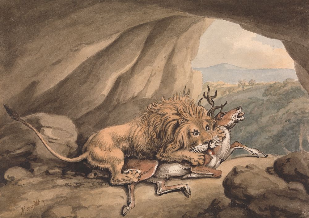 Lion Attacking a Stag