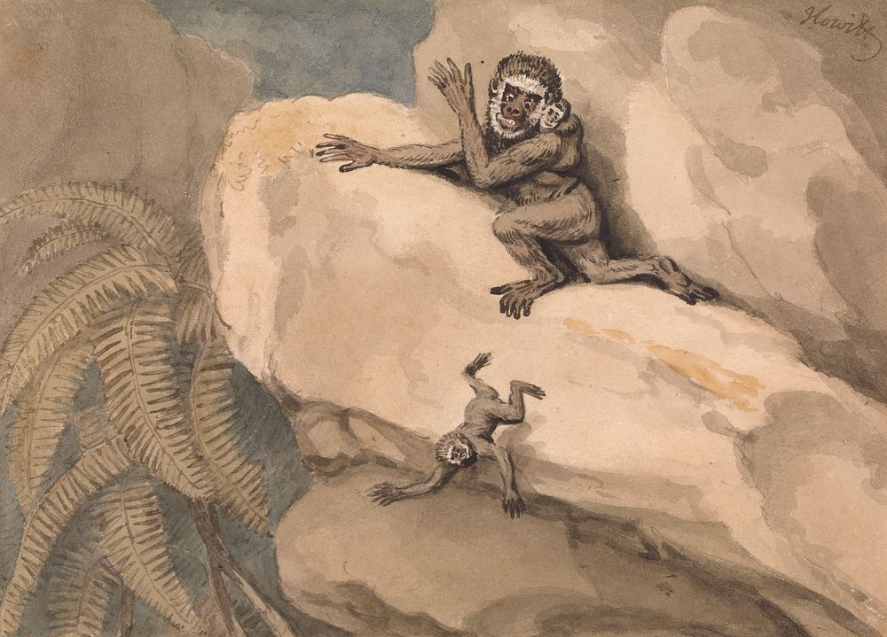 A Monkey and Young by Samuel Howitt, 1756&ndash;1822, British