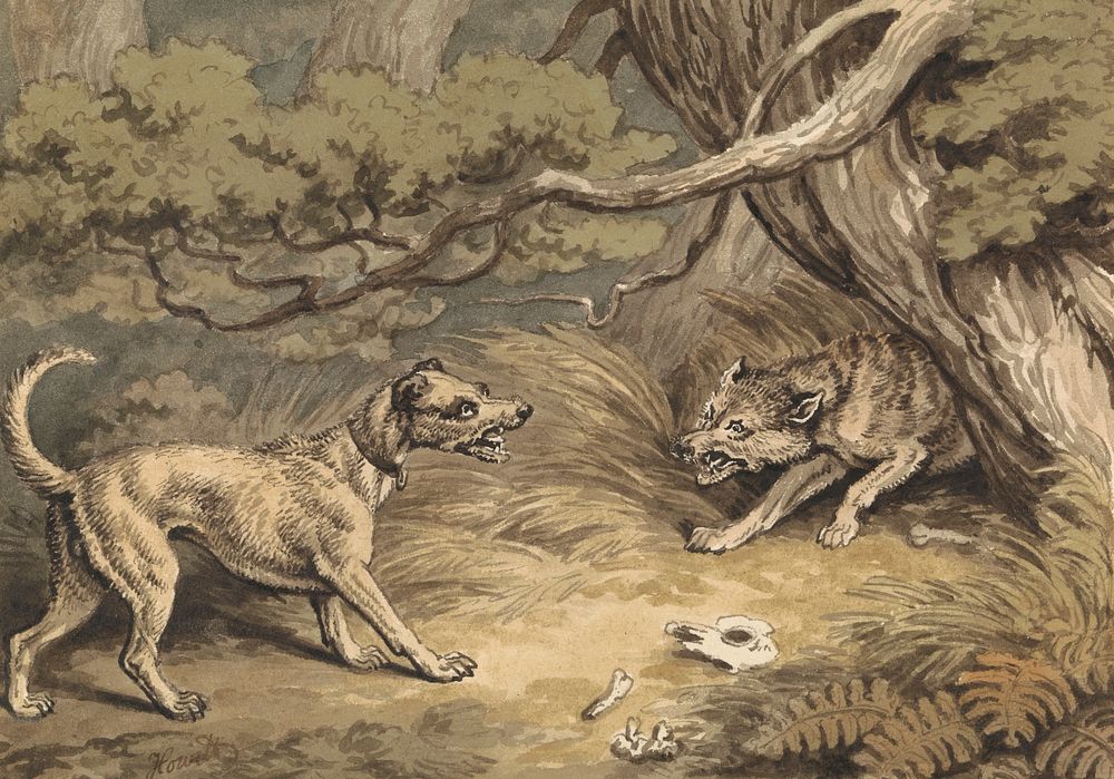 The Dog and the Wolf by Samuel Howitt