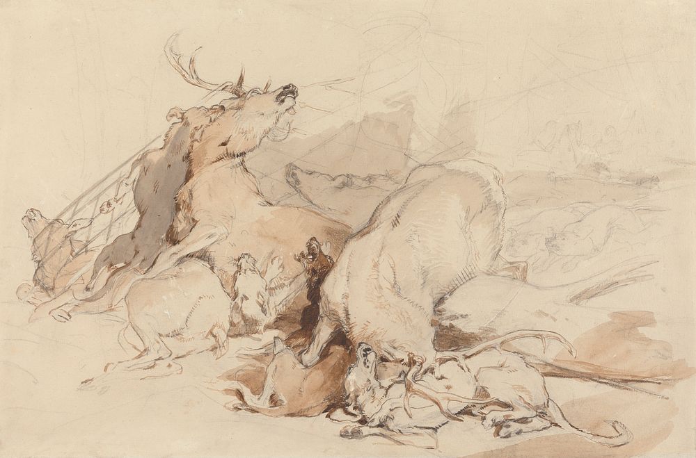 Hounds and Hunters Attacking Deer
